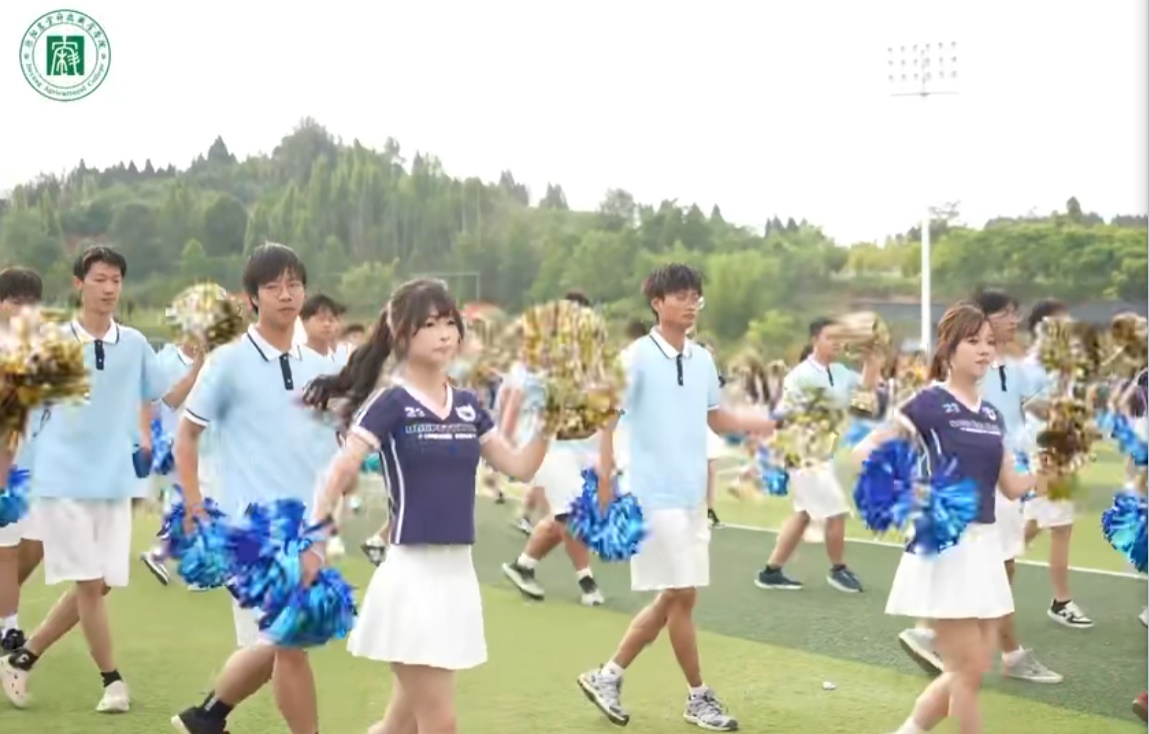 2026校园运动会 loading=